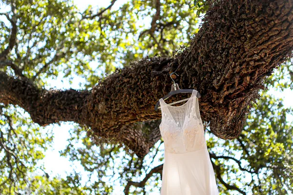 The dress hanging from the oak