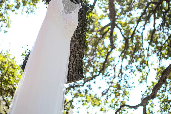 The dress on the oak before the ceremony