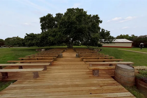The boardwalk aisle under the oak